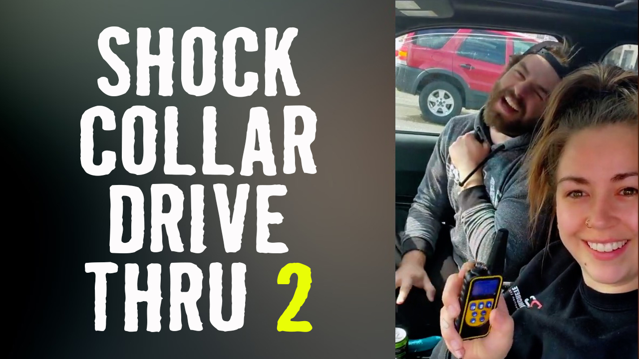 The Big Show Video Of The Day Shock Collar Drive Thru 2